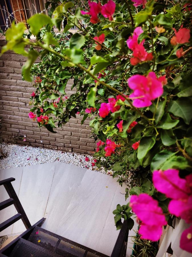 "Casa Amalia Apartamentos" Plaza Italia Y Av Aristides A 50Mts, Lugar Con Jardin Mendoza Exterior foto
